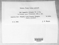 Image Associated With the Occurence